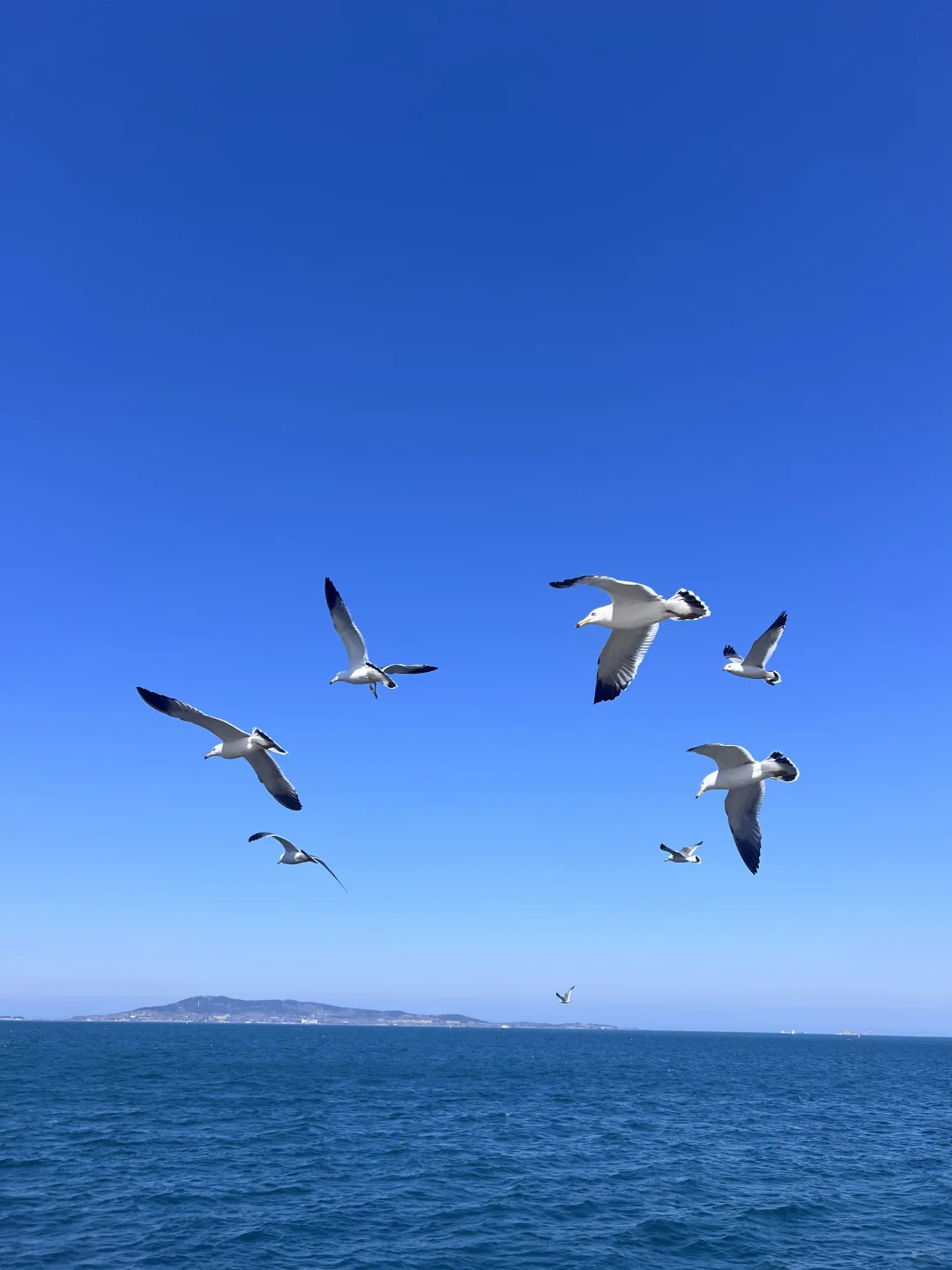 🎒威海旅行攻略🌊不走弯路