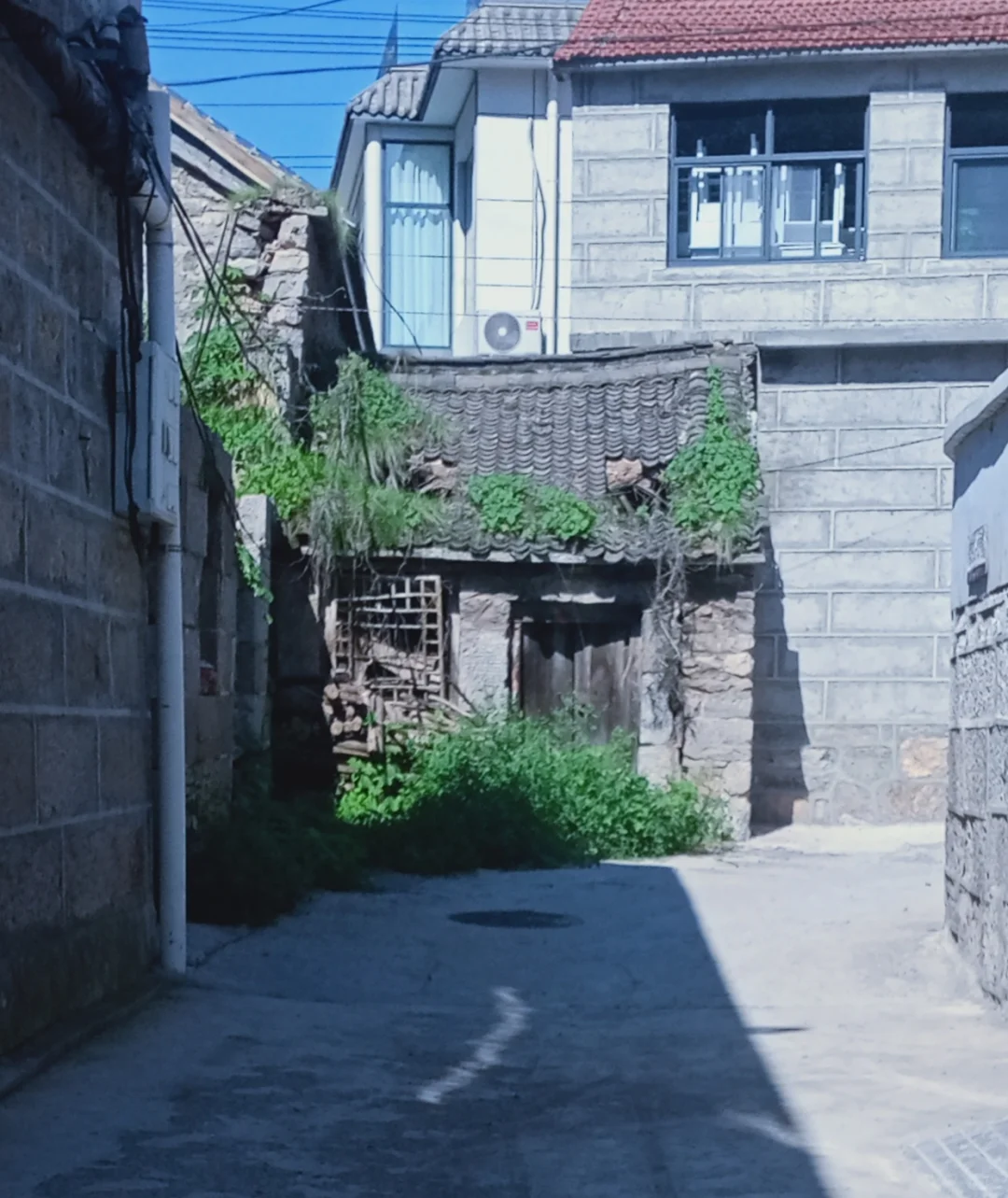 在景区打暑假工有多爽