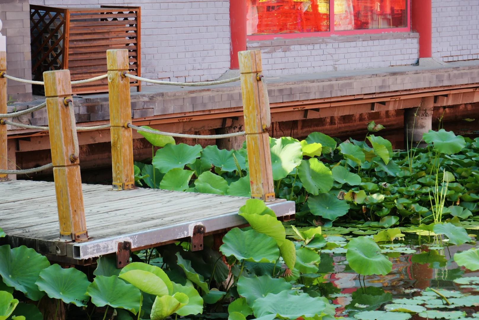 河头老街你就去吧，包出片的