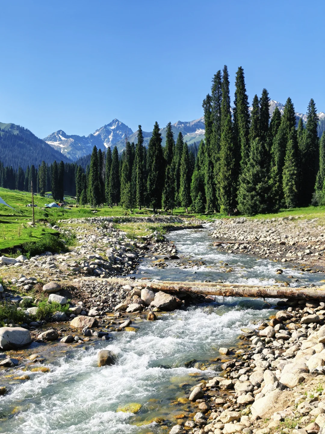怎么拍！新疆！太美了！