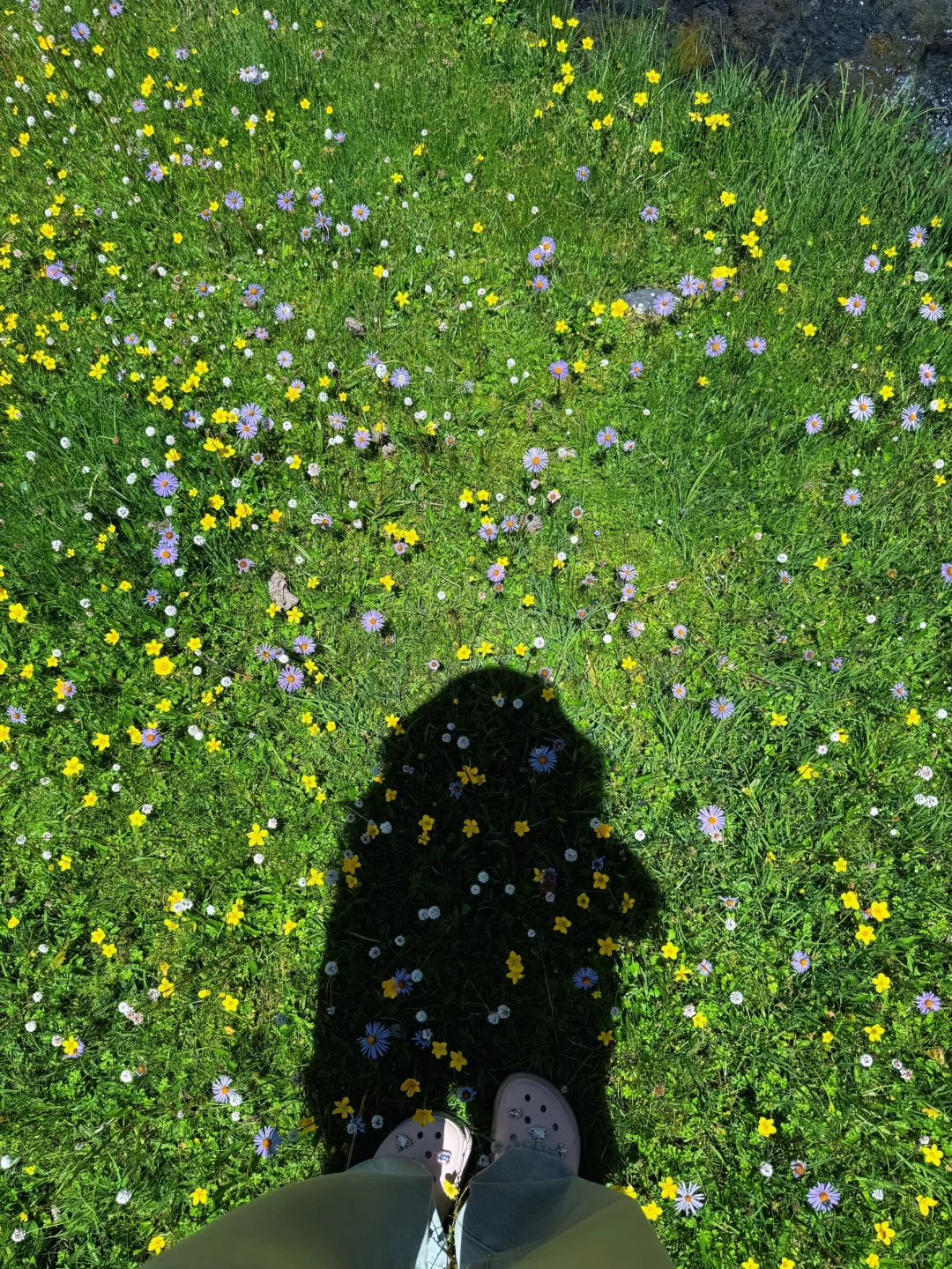 甲根坝纳梯村实拍！