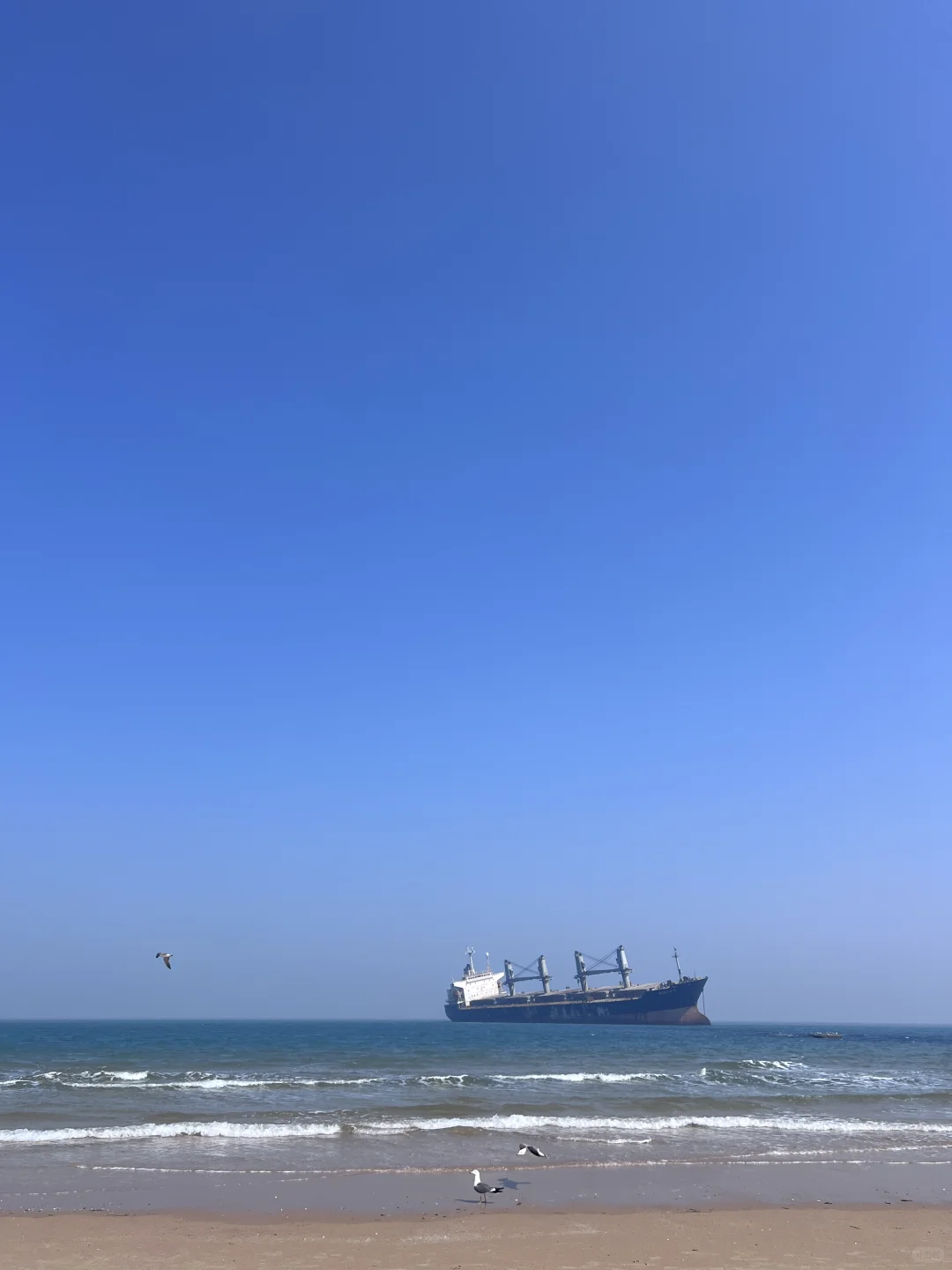 🎒威海旅行攻略🌊不走弯路