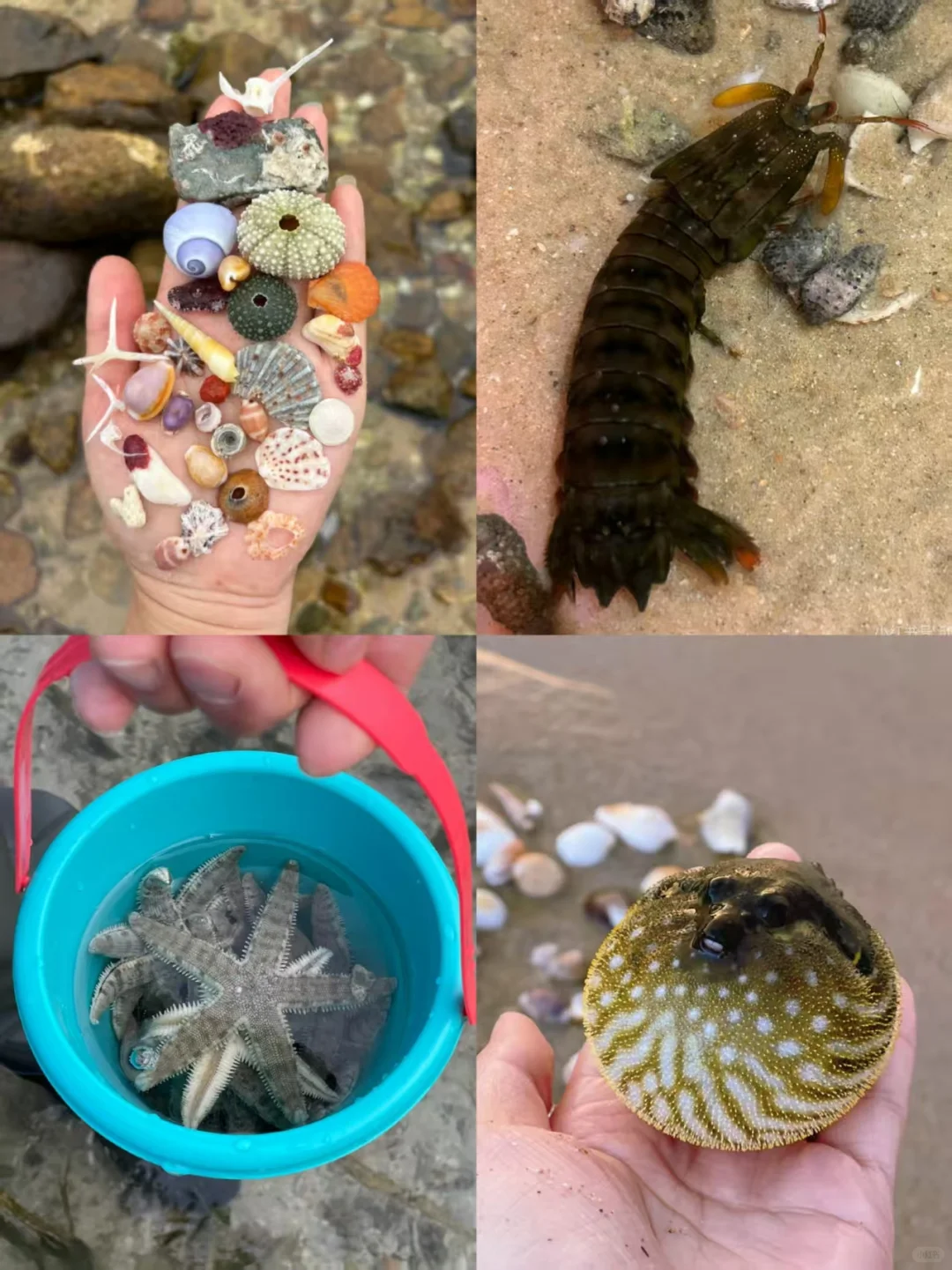 陵水旅游刚回一周 说说掏心窝子的建议...