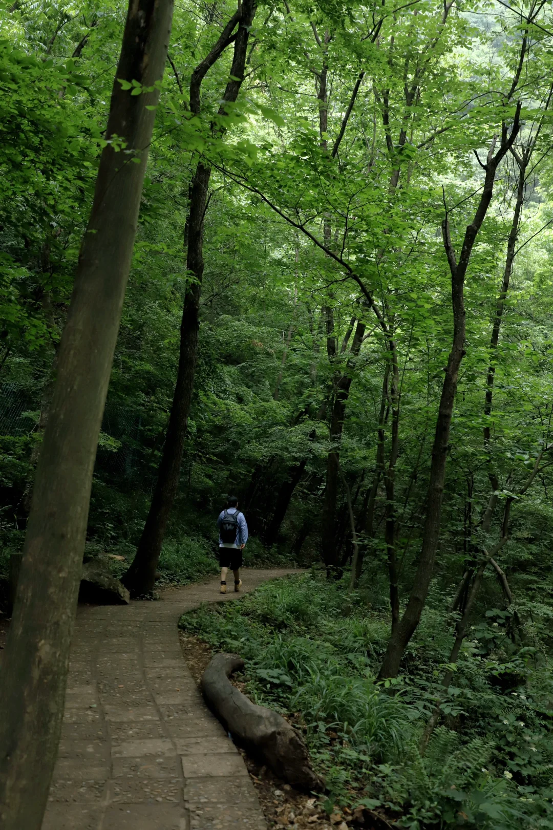 河南绿野仙踪秘境🌳重渡沟2日游拍照攻略