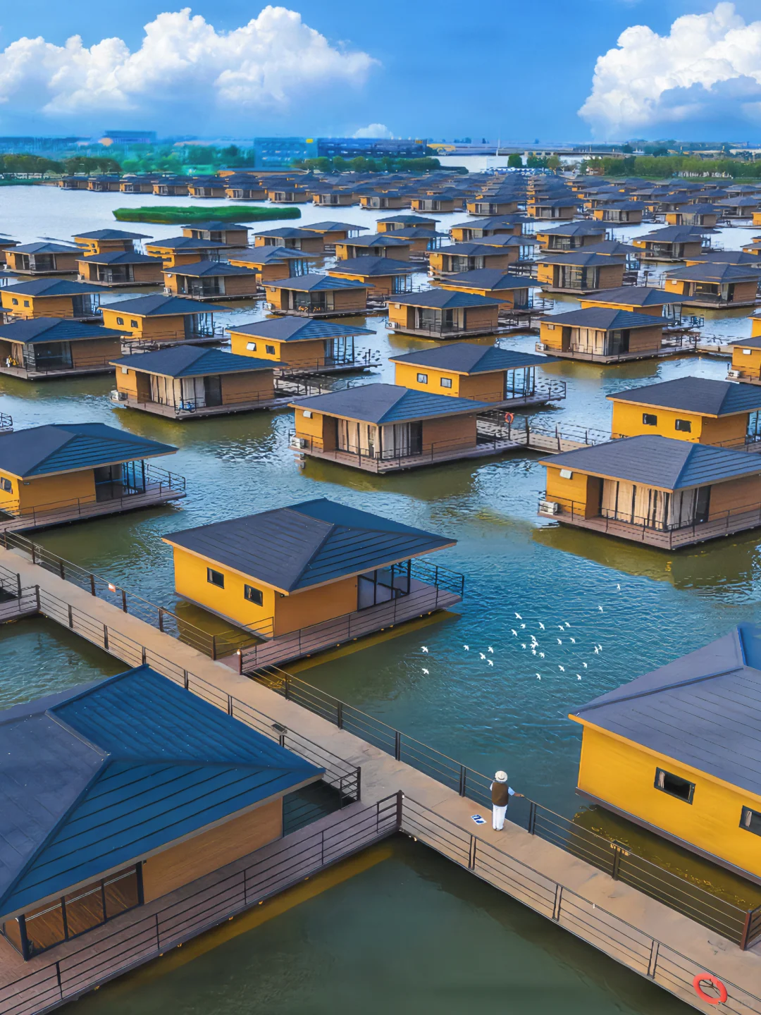 今年去过最舒服的海边小城，真的好怕它火🥹