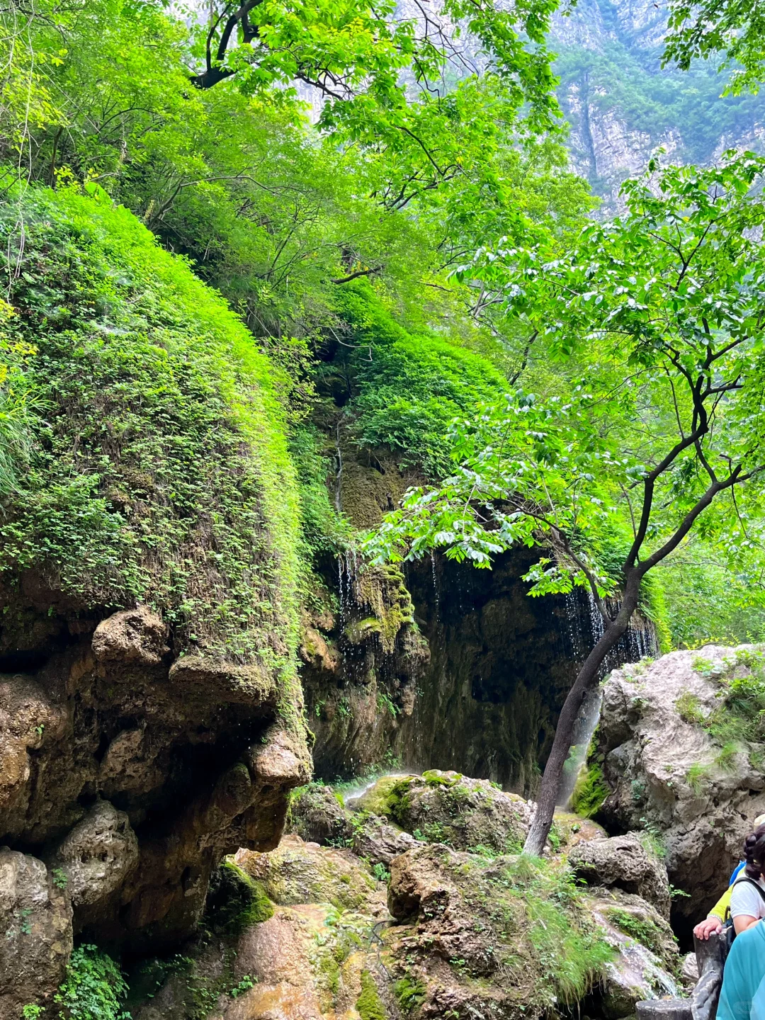 📍⛰️云台山!免门票!!!泰好玩啦……