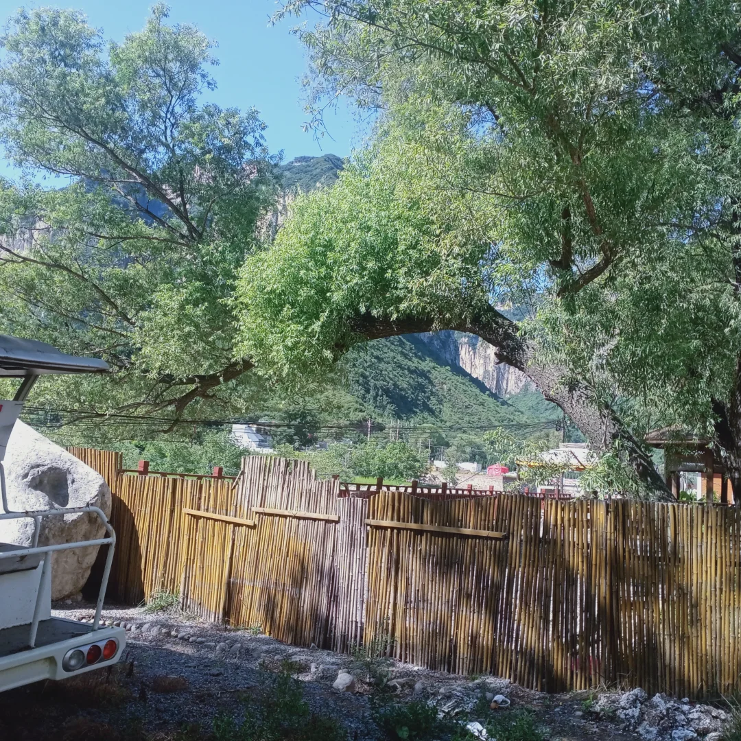 在景区打暑假工有多爽