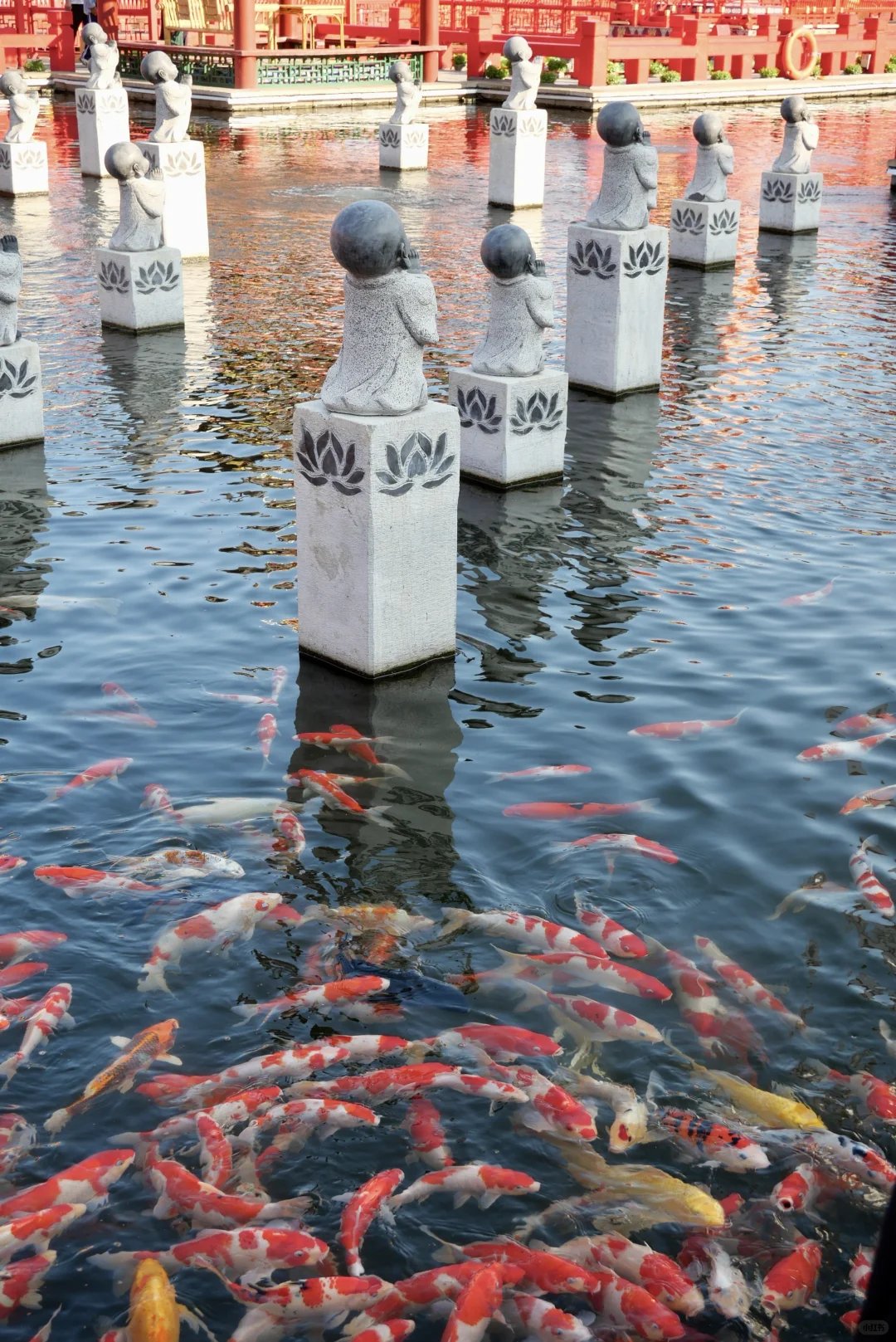 河头老街你就去吧，包出片的