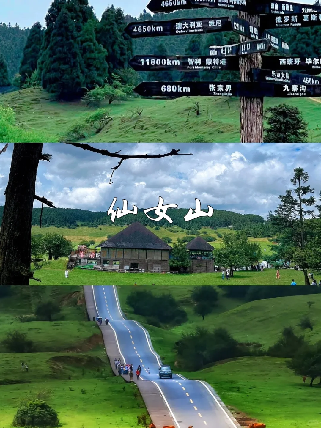 武隆天坑地缝！仙女山奔跑！一日游封神