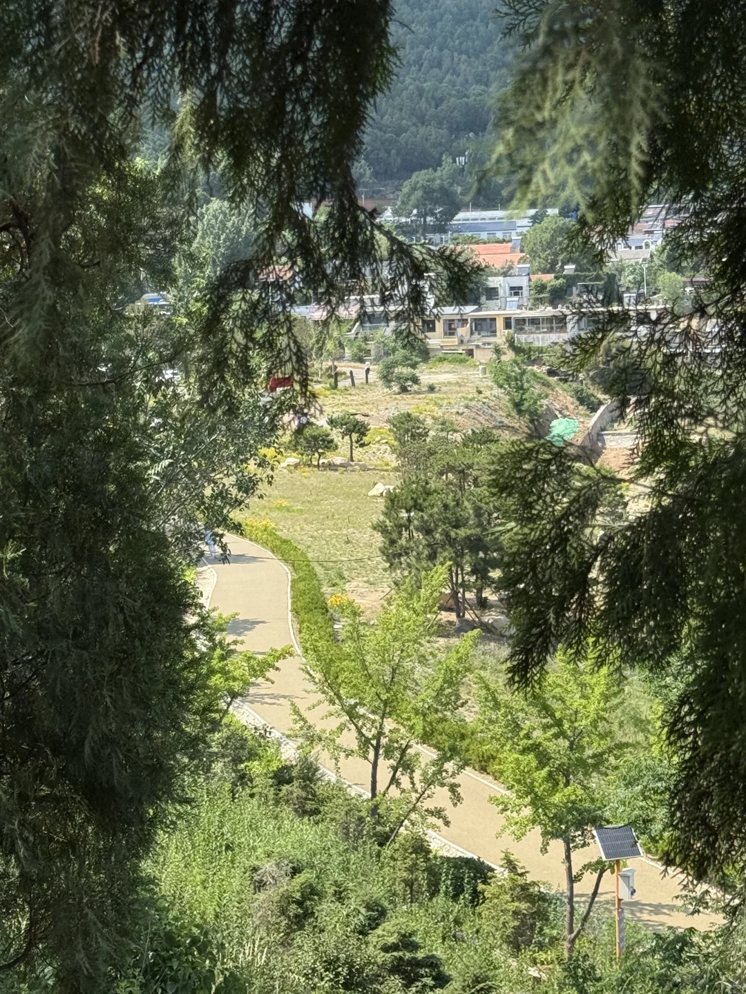 藏在泰山脚下的阿勒泰！这座宝藏公园我🔒4️⃣