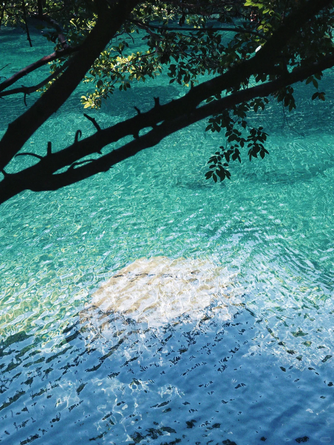 📍在安徽池州| 这真的不是照骗吗.....🥹