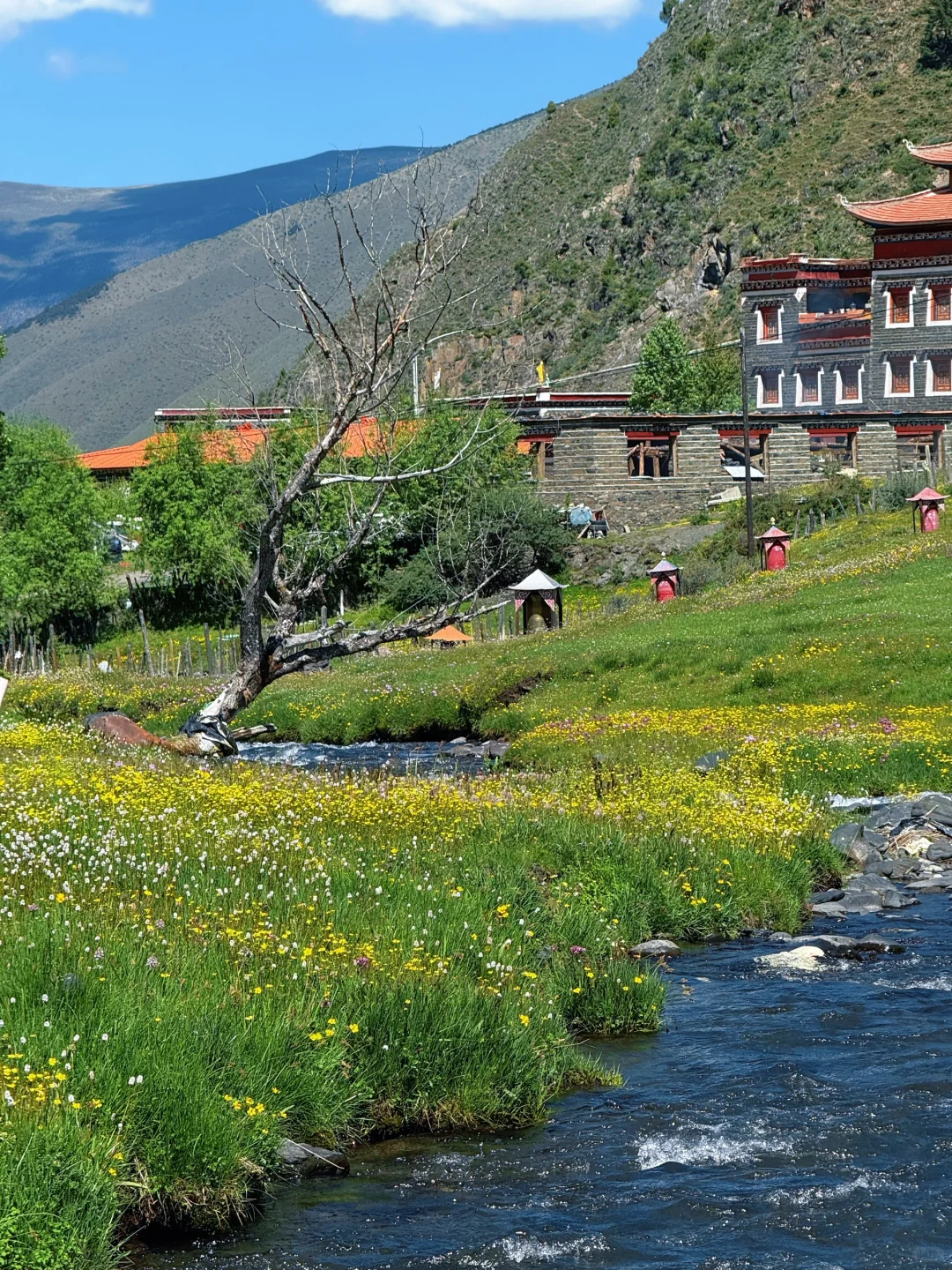 甲根坝纳梯村实拍！