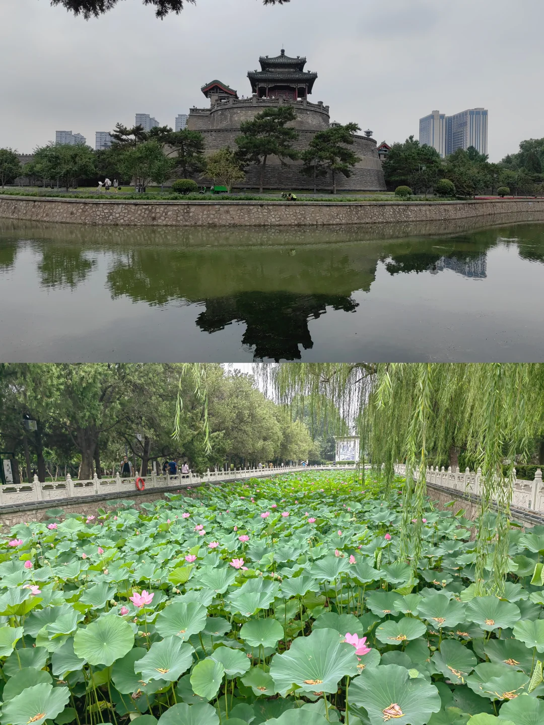 🌸 邯郸丛台公园攻略｜0元穿越2300年！