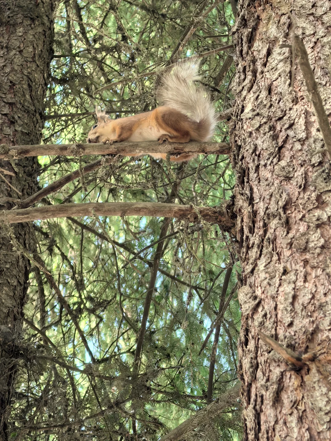怎么拍！新疆！太美了！
