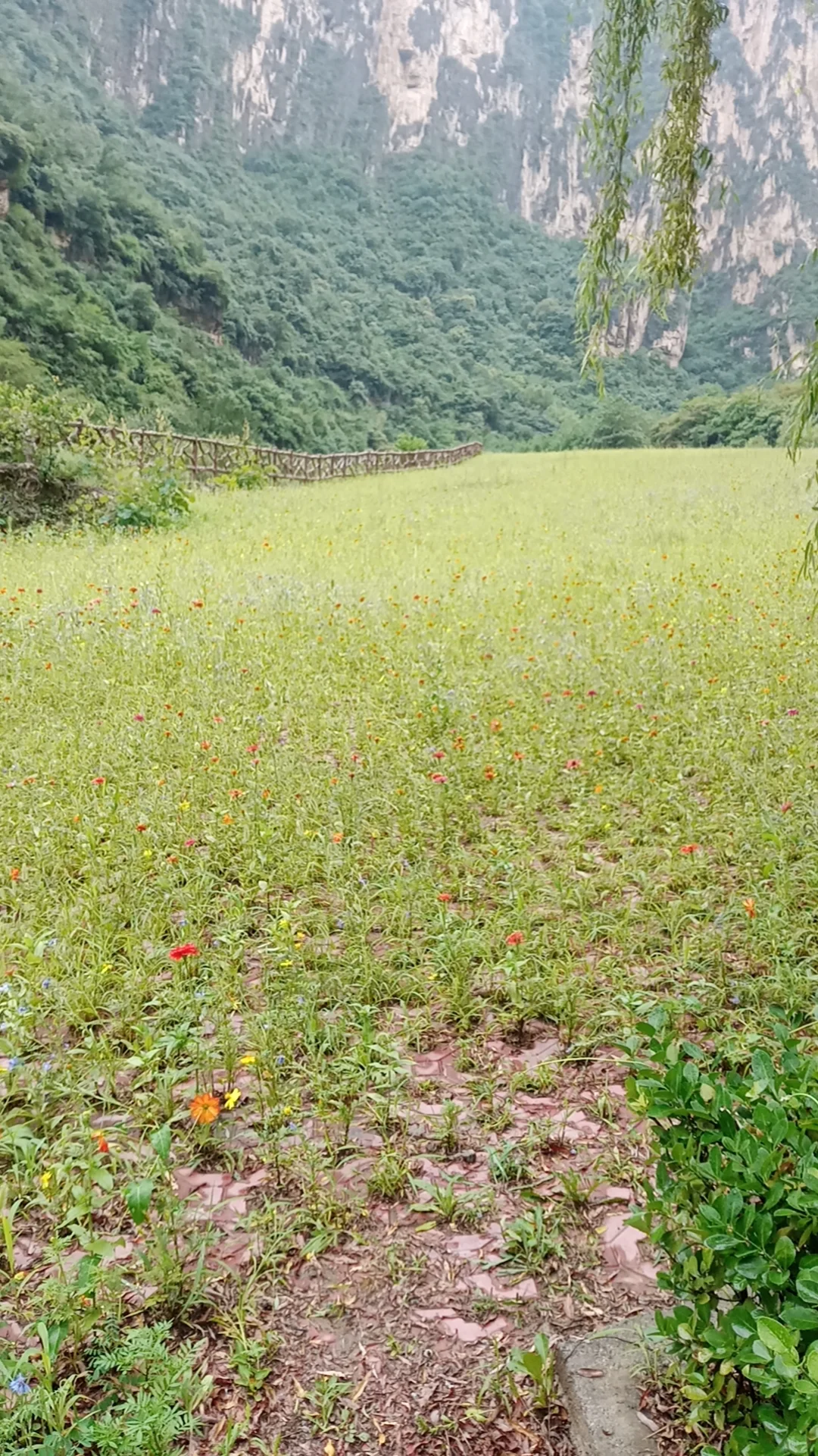 在景区打暑假工有多爽