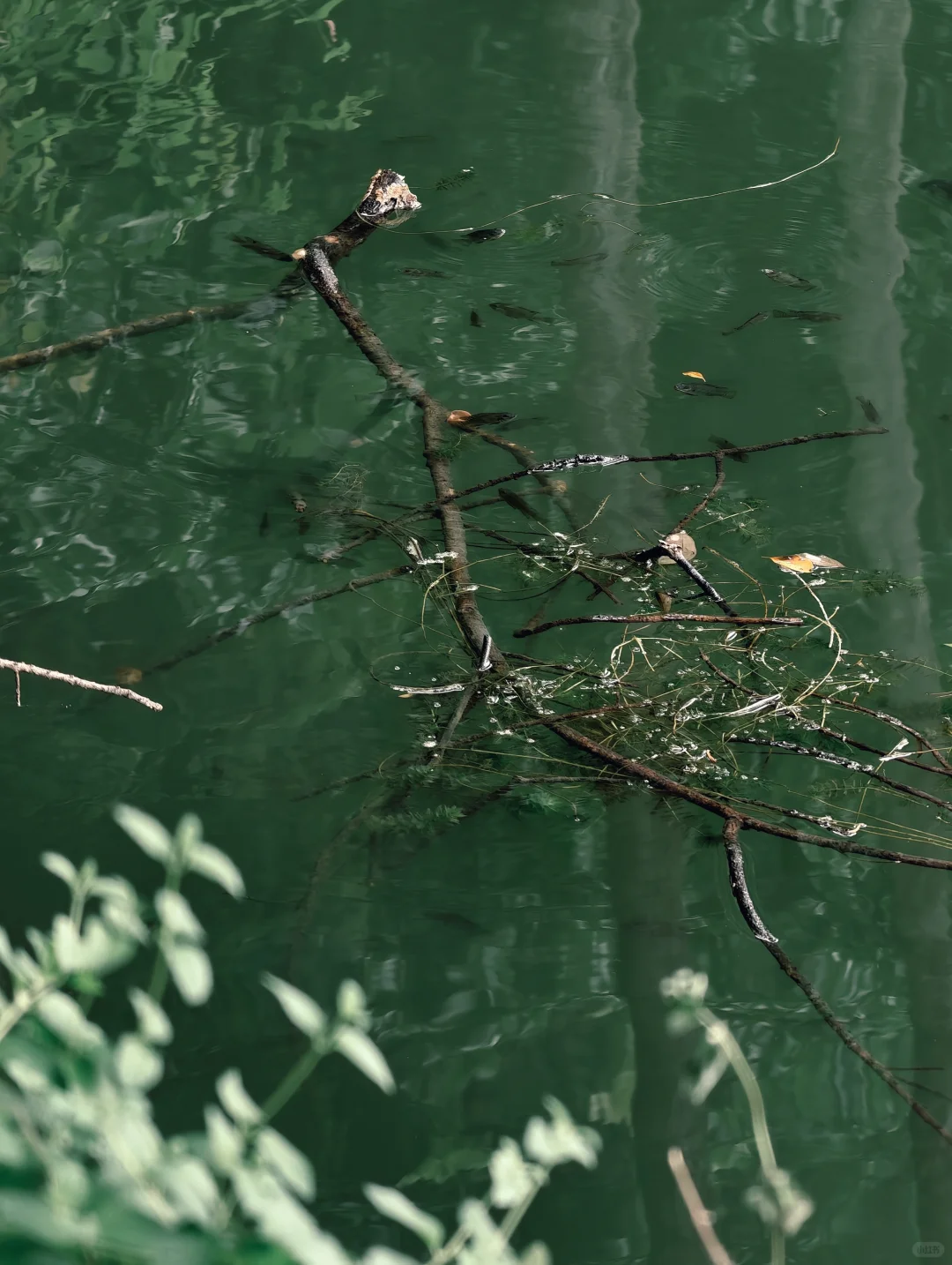 肇庆「七星岩」一日游