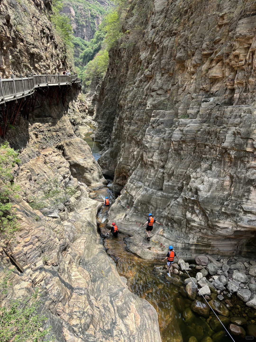 在洛阳恢复能量的100件小事（78/100）