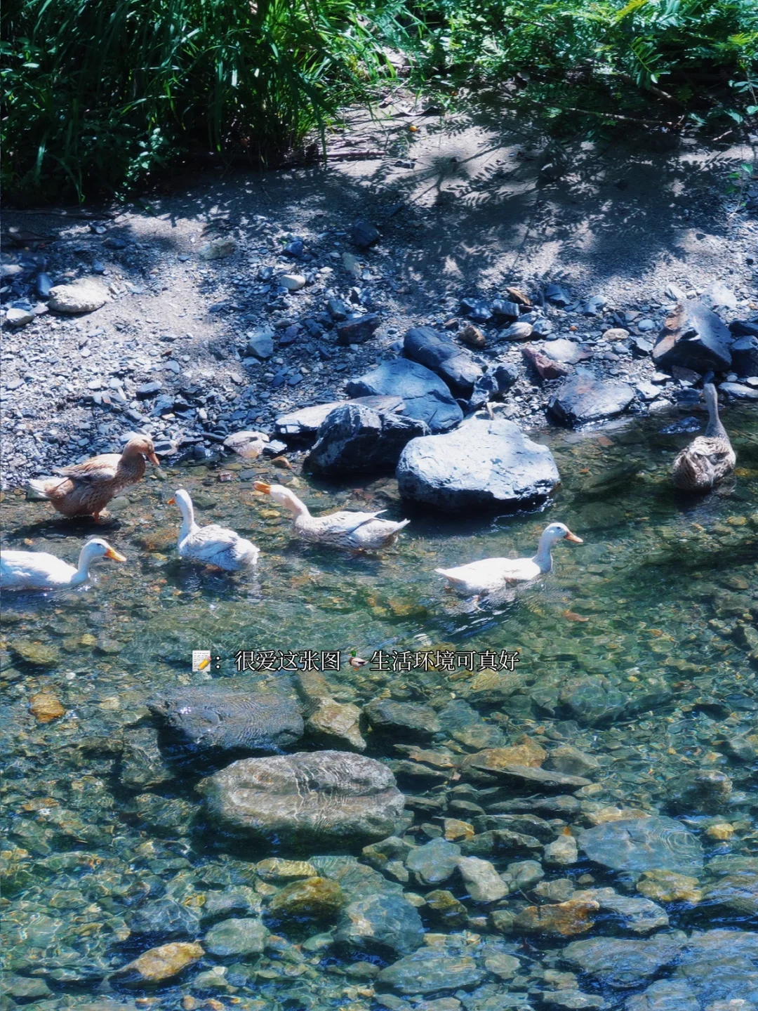📍在安徽池州| 这真的不是照骗吗.....🥹