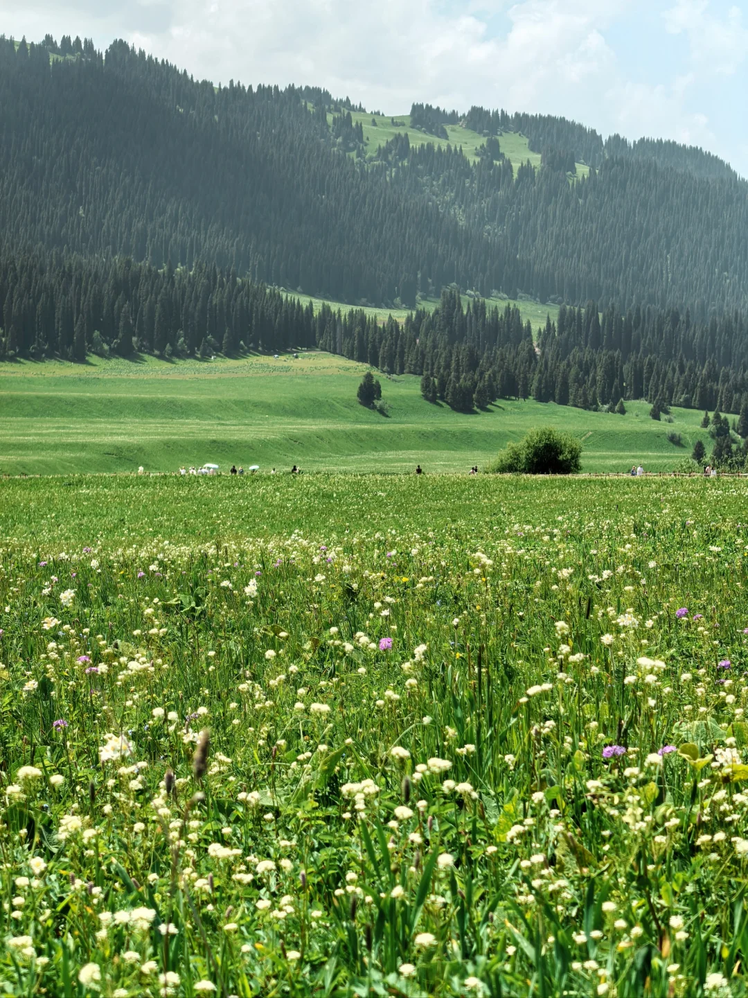 怎么拍！新疆！太美了！