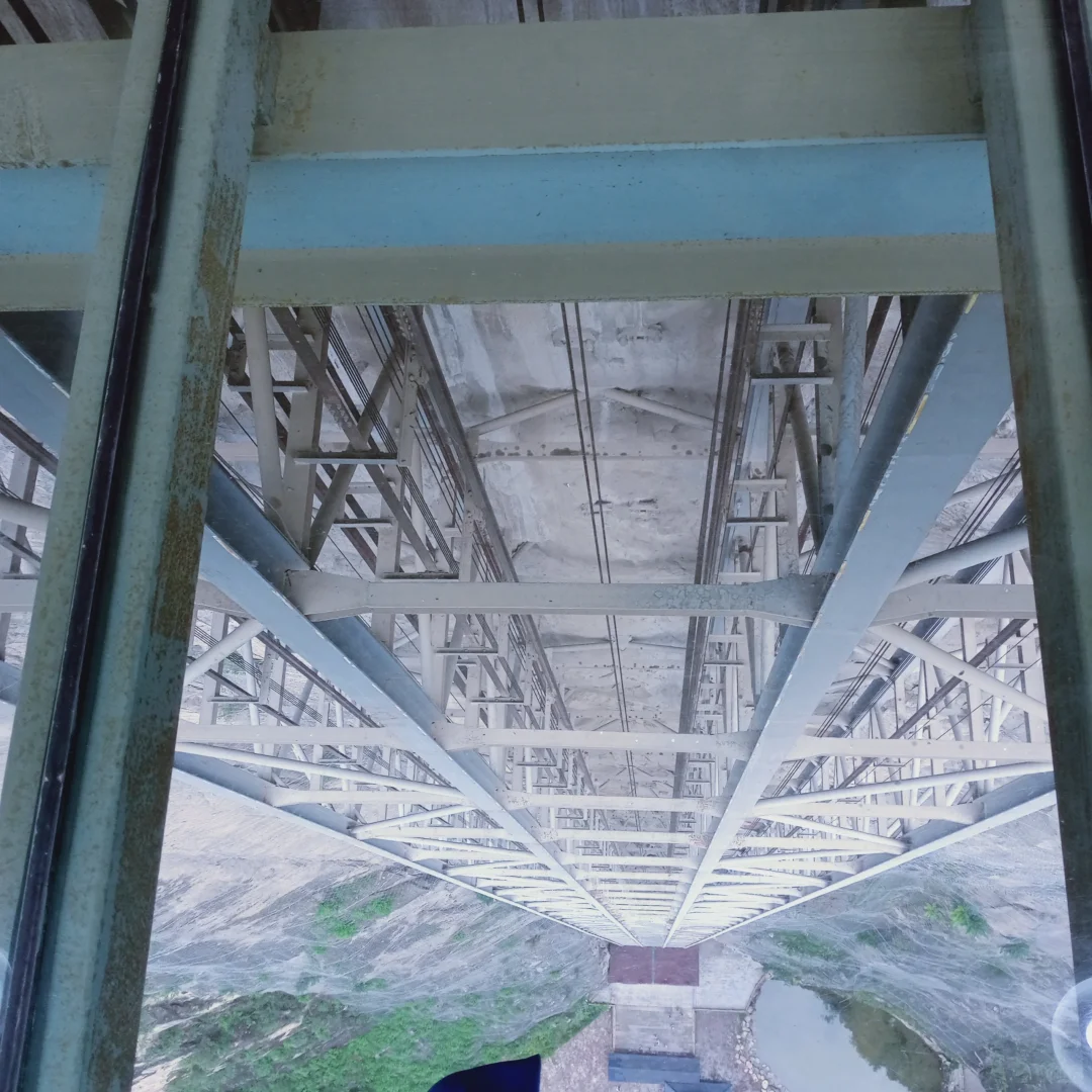 在景区打暑假工有多爽