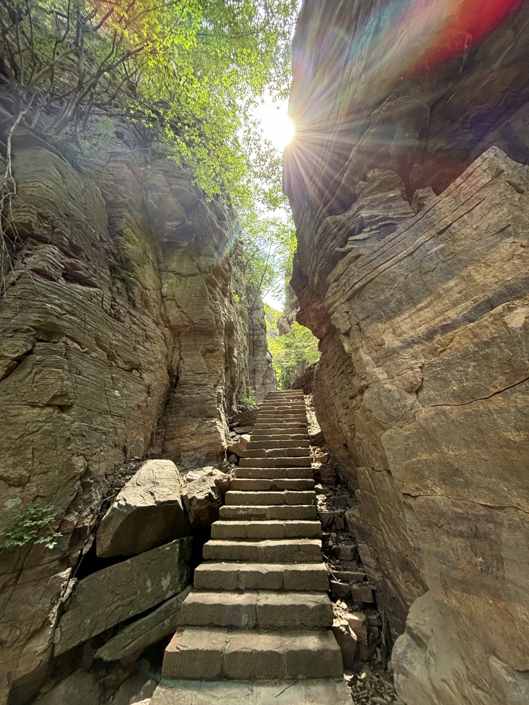 在洛阳恢复能量的100件小事（78/100）