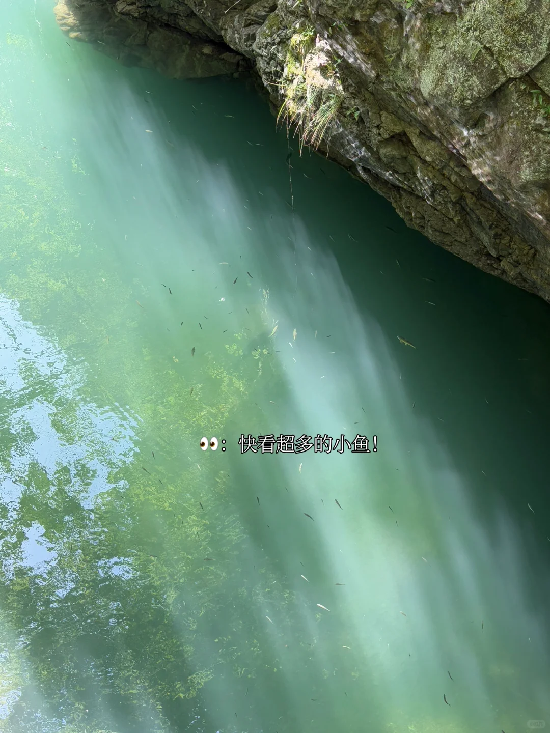 📍在安徽池州| 这真的不是照骗吗.....🥹