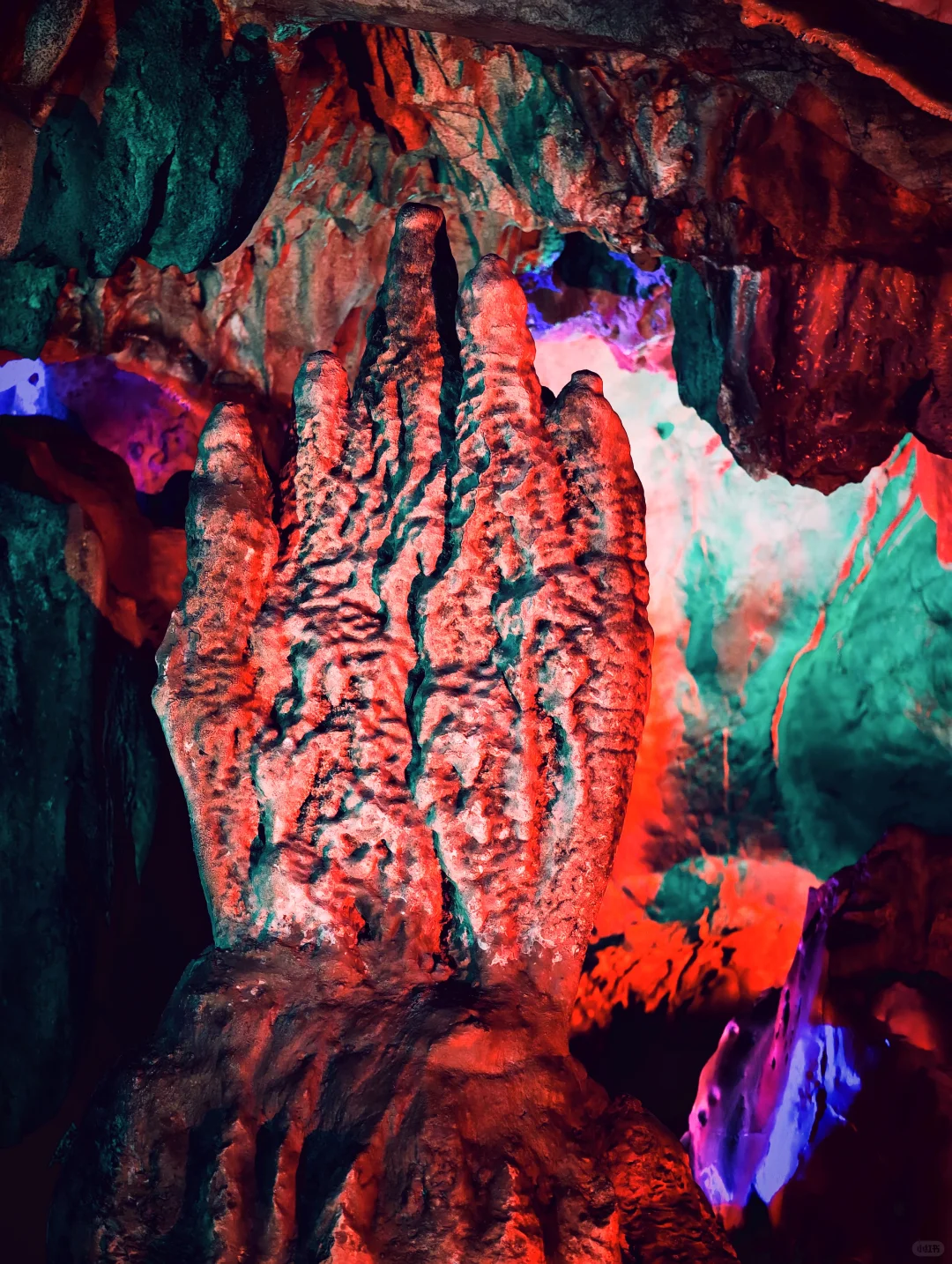 肇庆「七星岩」一日游