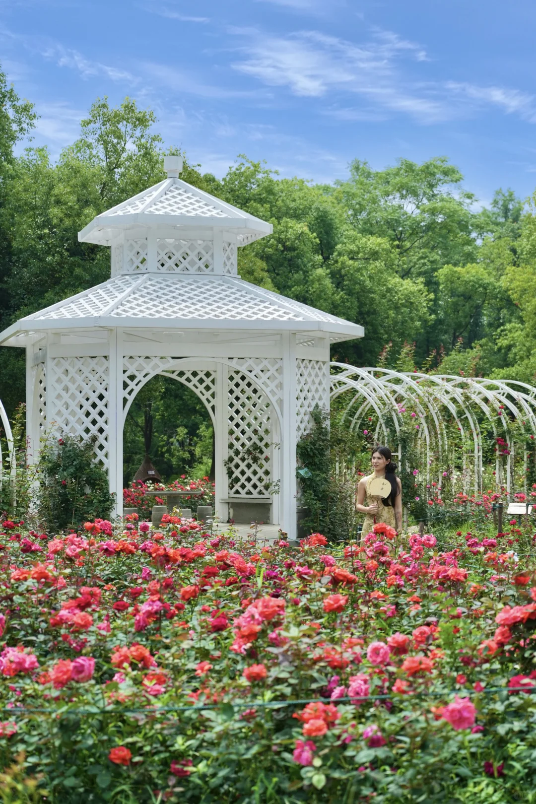 在武汉,花13r下江南🍃迷雾仙林8️⃣大机位get