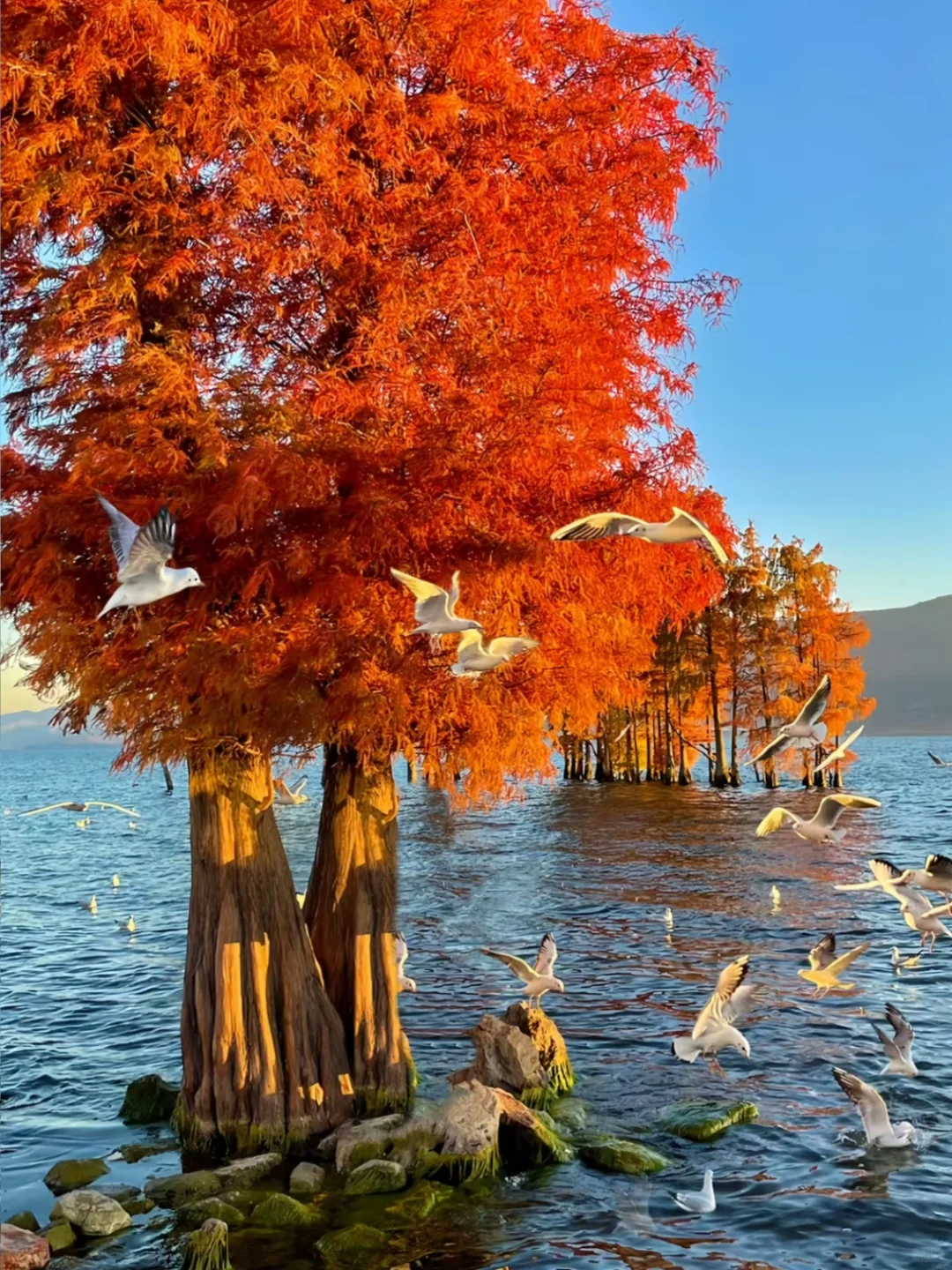 旅行✈️的意义是什么？