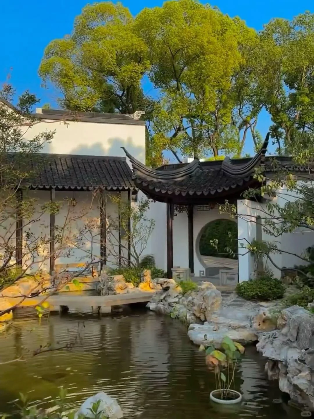 听劝👂🏻6-8月去苏州的姐妹🐴住