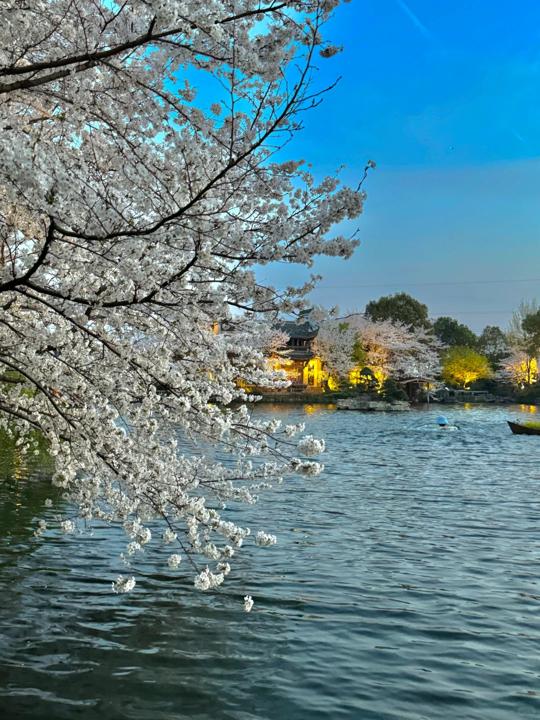 以为西湖已经够美了!直到我去了这里…