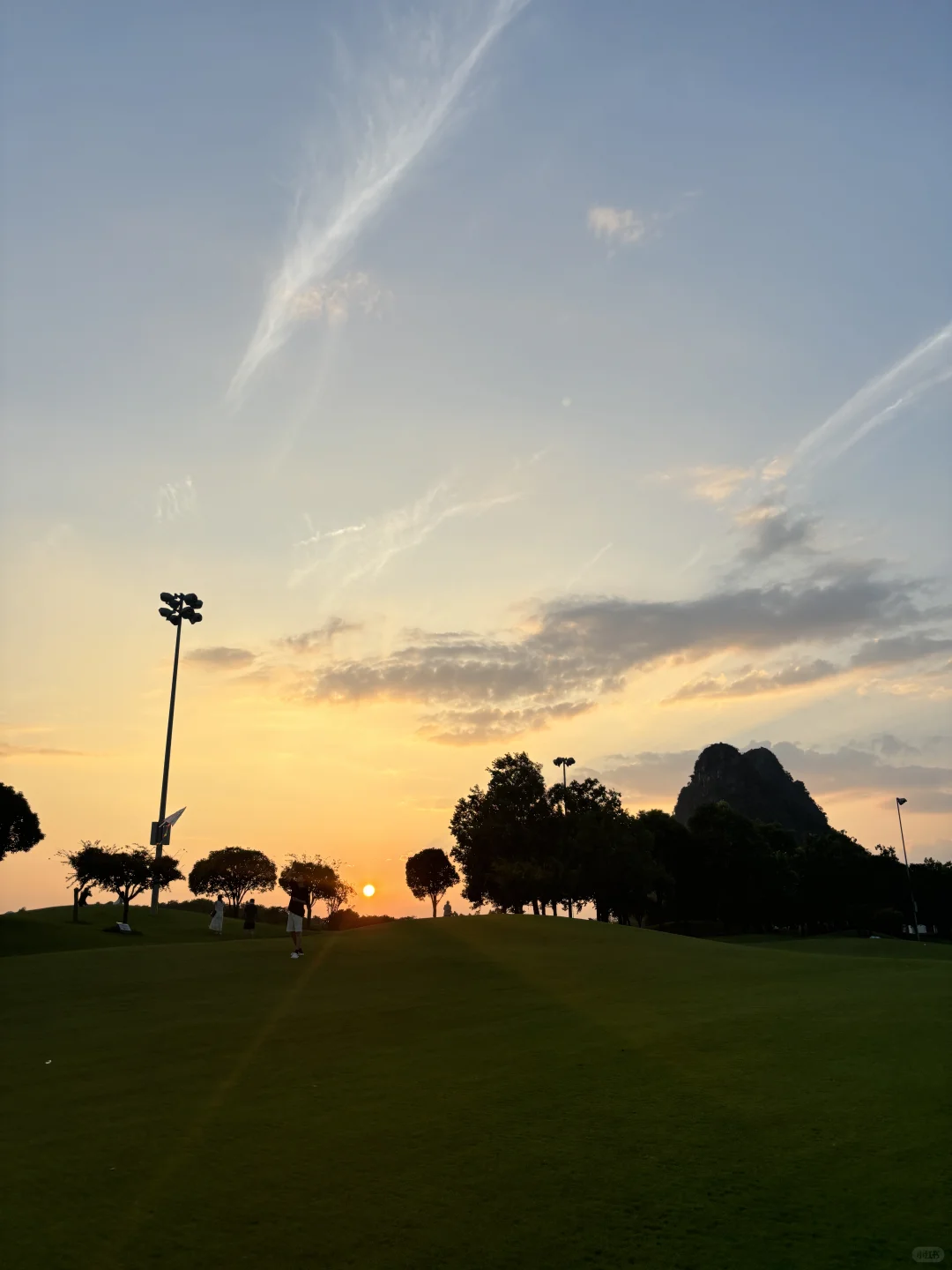 桂海晴岚💚——满满的生命力！！！