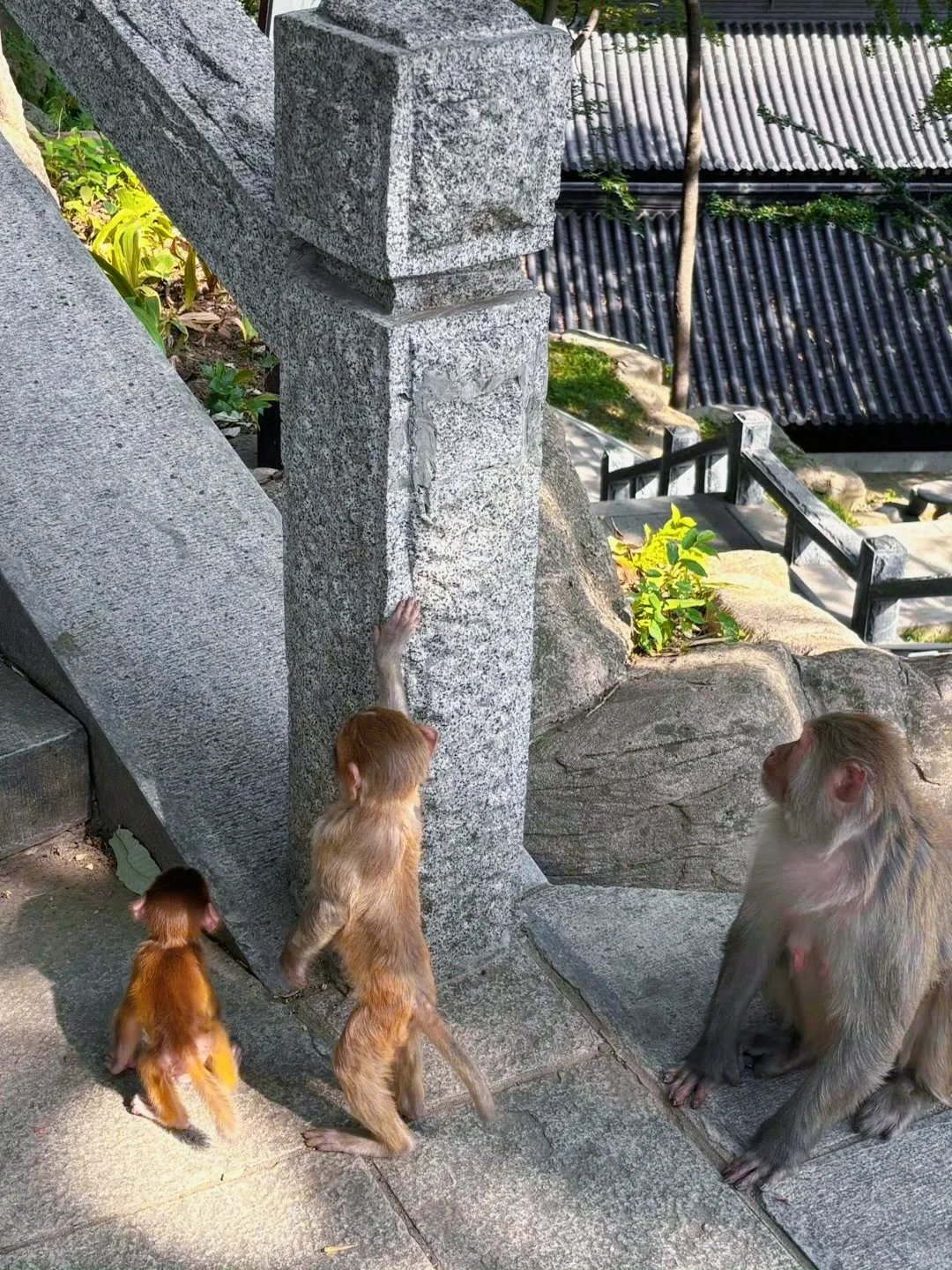 高铁直达🚄江苏被严重低估的绝美海边小城！