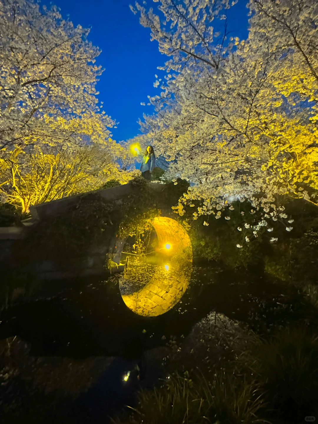 以为西湖已经够美了!直到我去了这里…