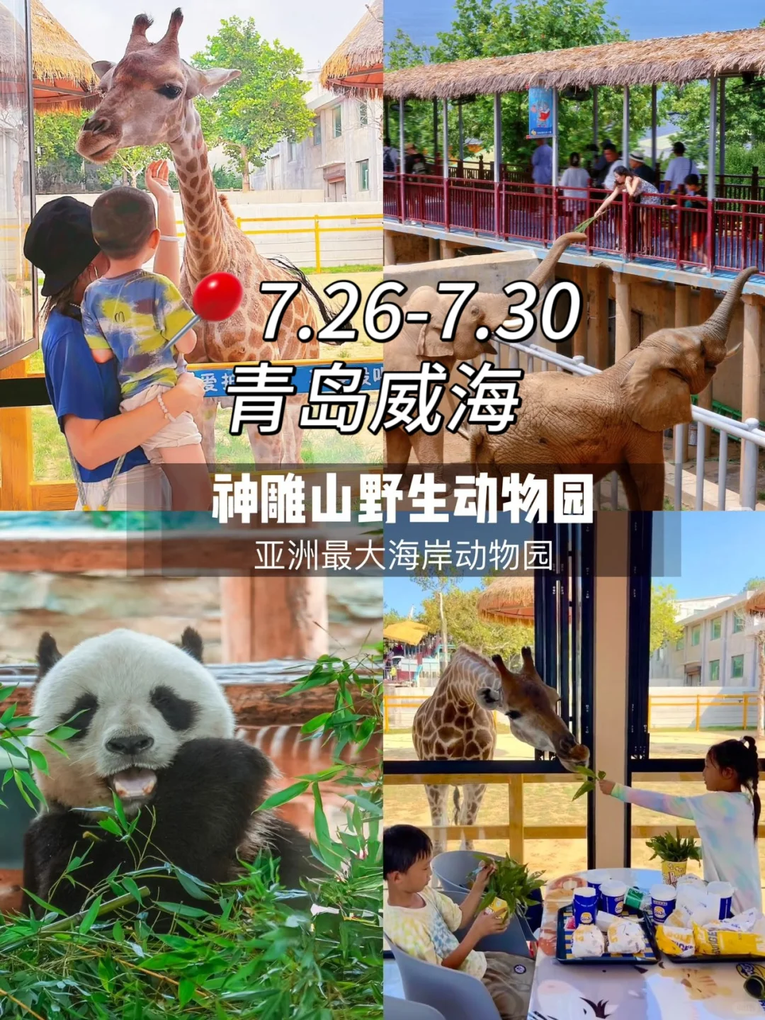 7-8月适合暑假亲子避暑10大城市（附行程）