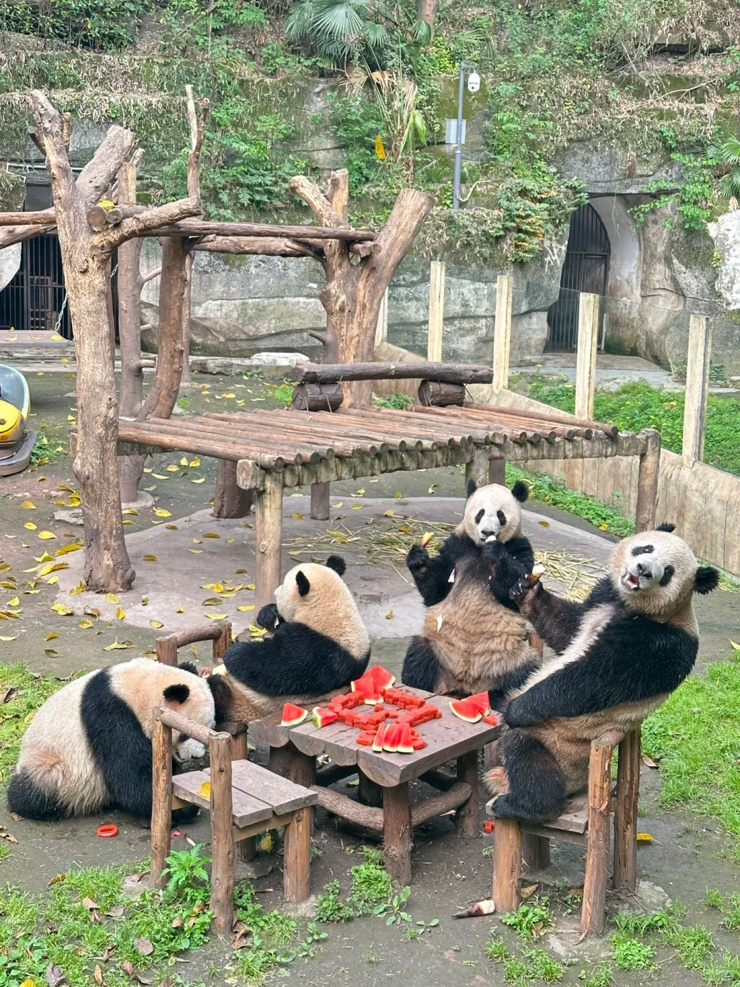 重庆必玩9大景点！暑假旅游前必看❗