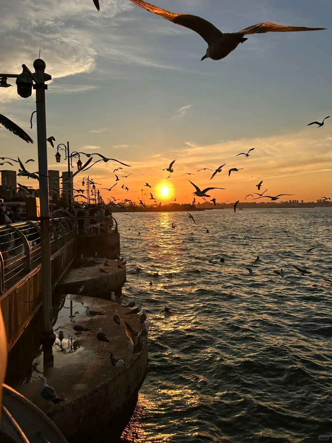 本J人对自己的大连旅游攻略满意的睡不着觉