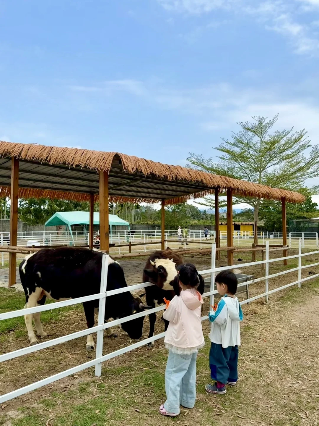 迄今为止...暑假最适合亲子游的城市出现了！