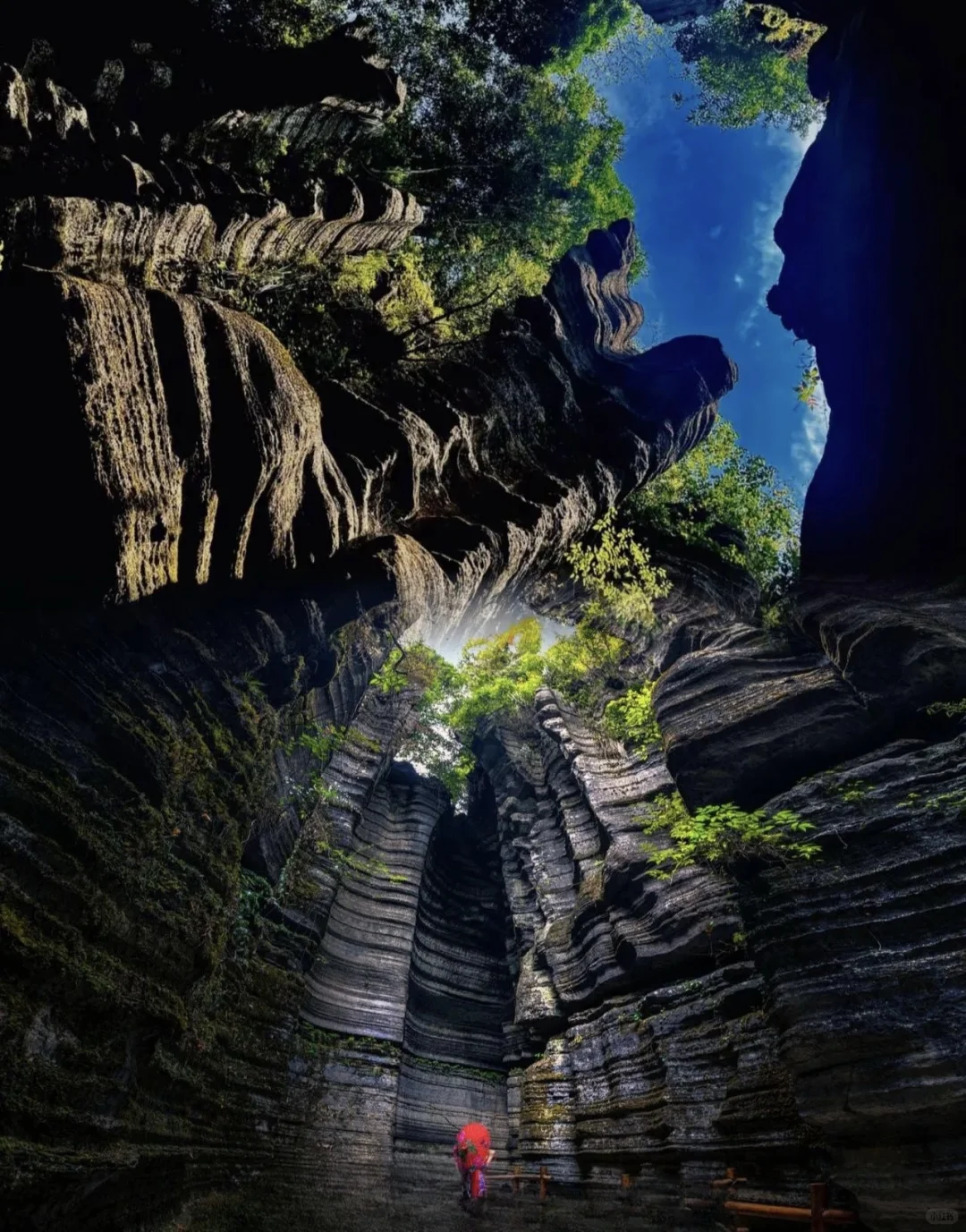 快来！抄作业啦！