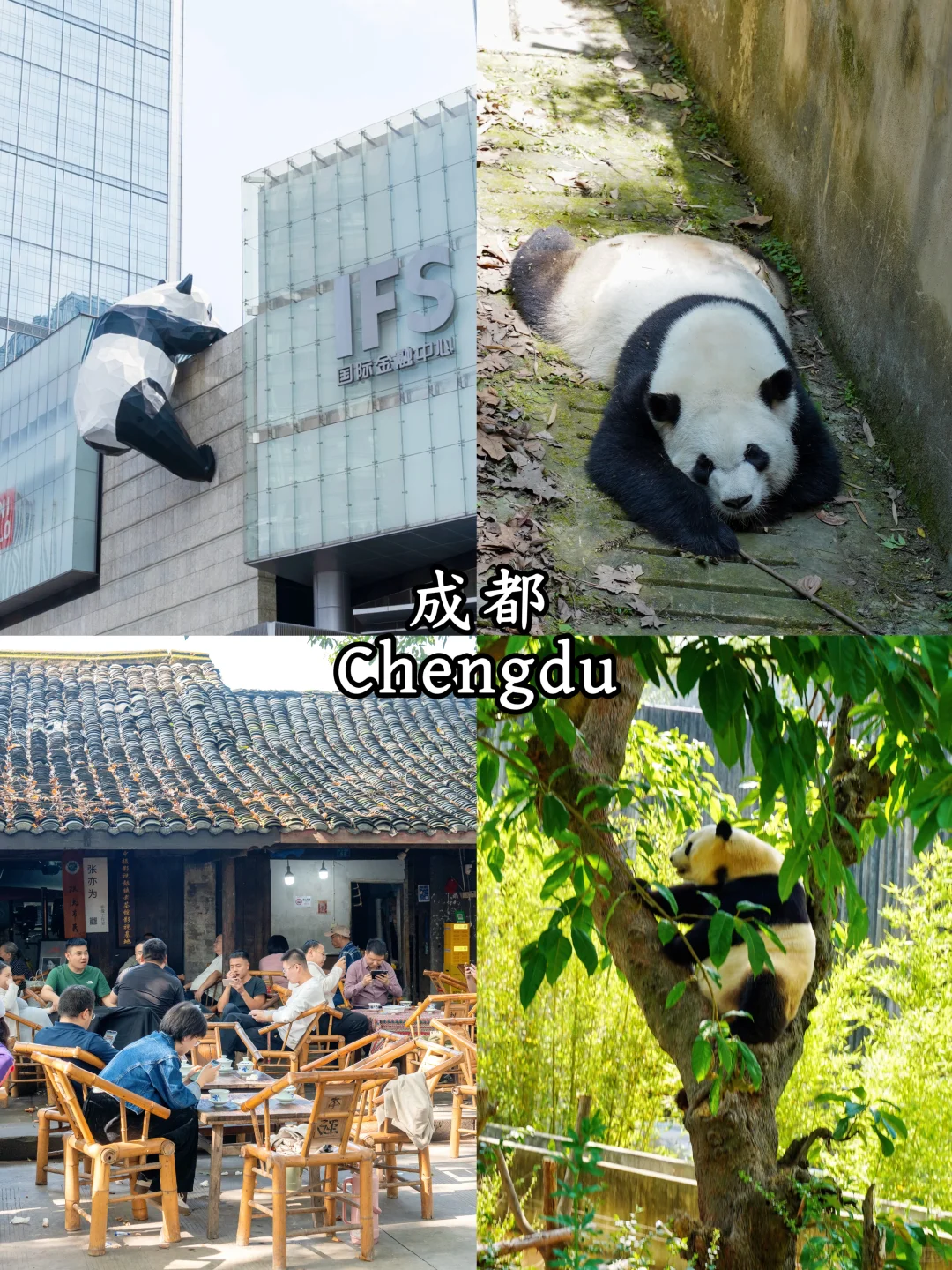 🇨🇳中国9个最美城市｜9 Cities in China