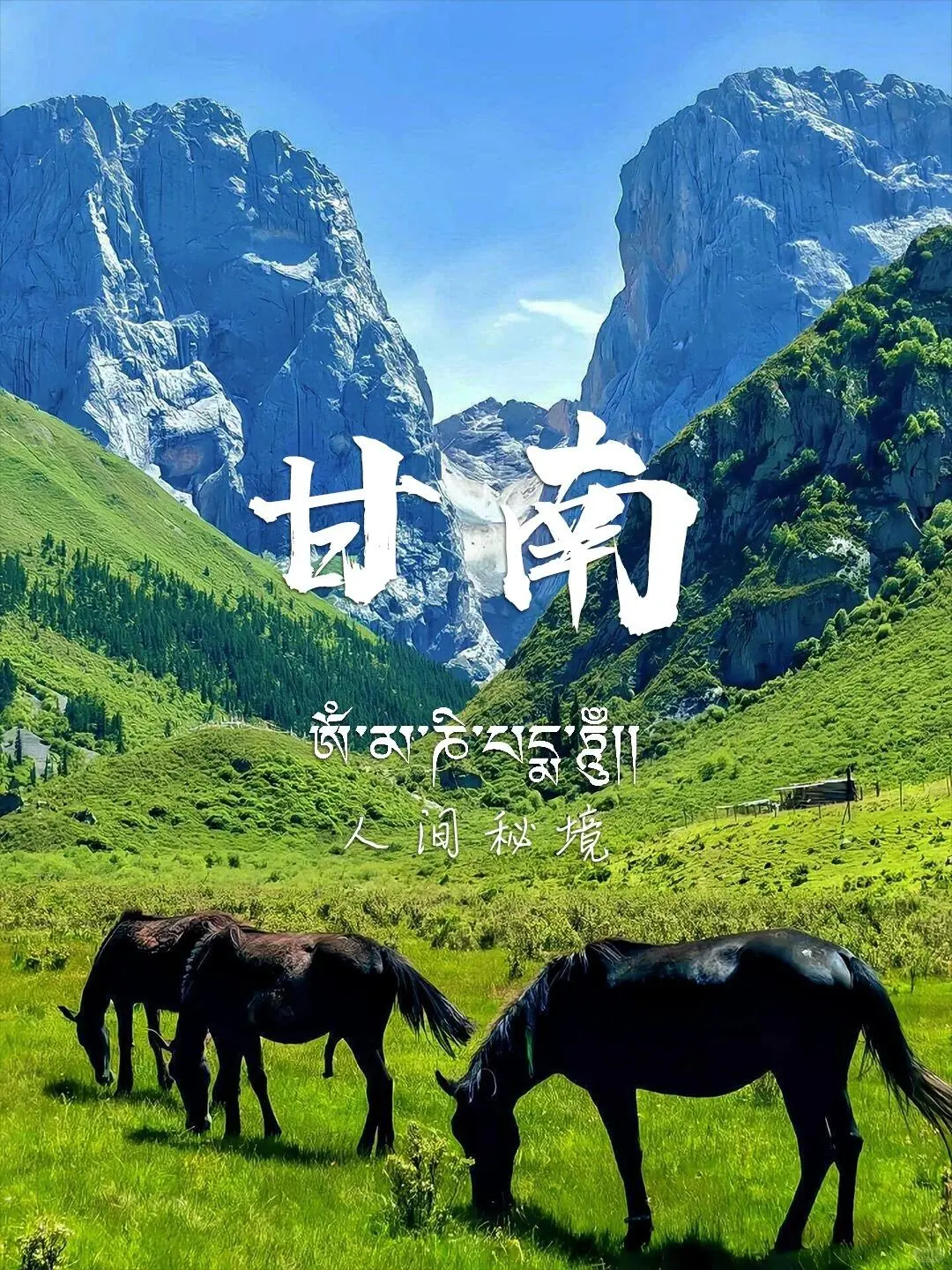 甘南旅游-甘南旅游#甘南旅游