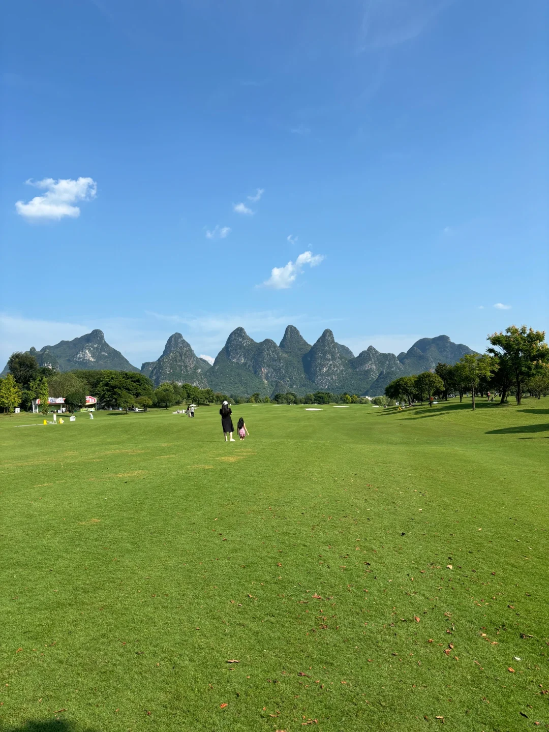 桂海晴岚💚——满满的生命力！！！