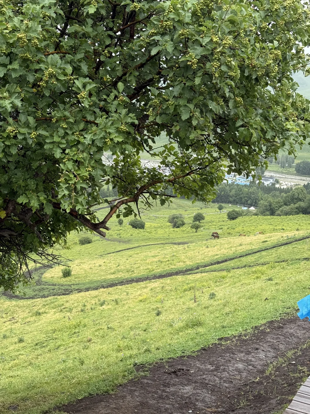 新疆｜疆缰浆江团队集合新疆！！