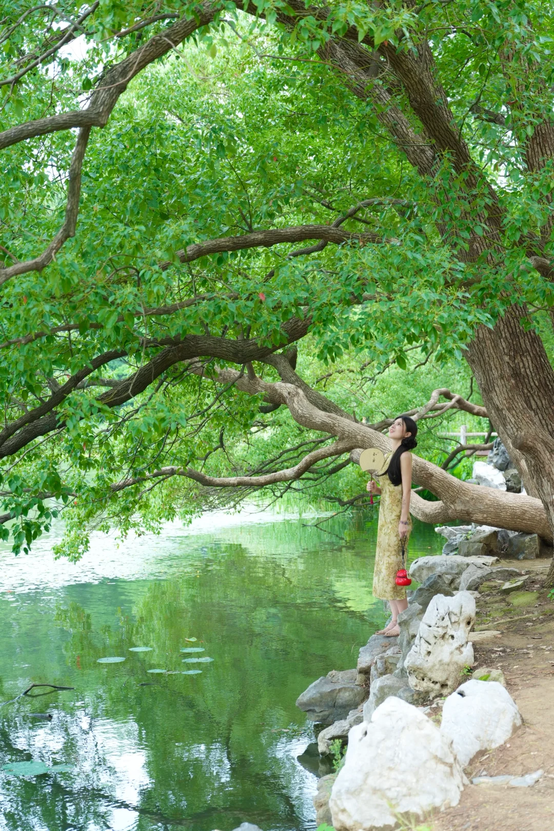 在武汉,花13r下江南🍃迷雾仙林8️⃣大机位get