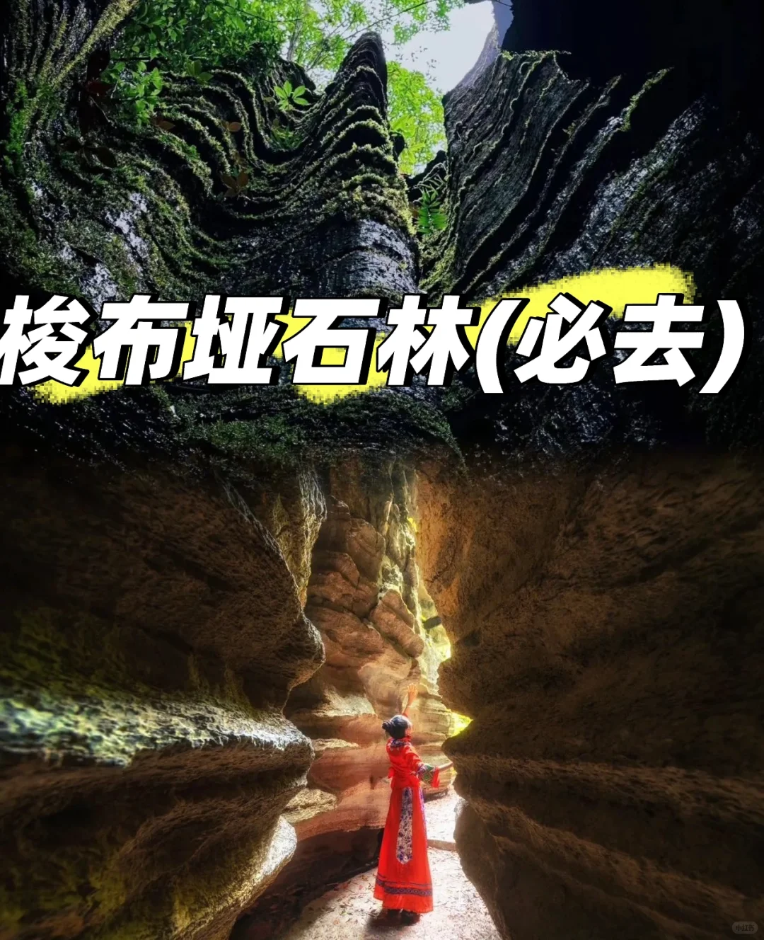 快来！抄作业啦！