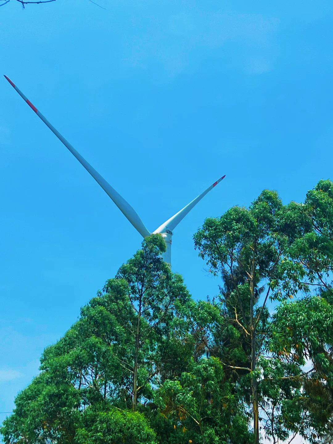 潮汕旅游小众海岛打卡~汕尾