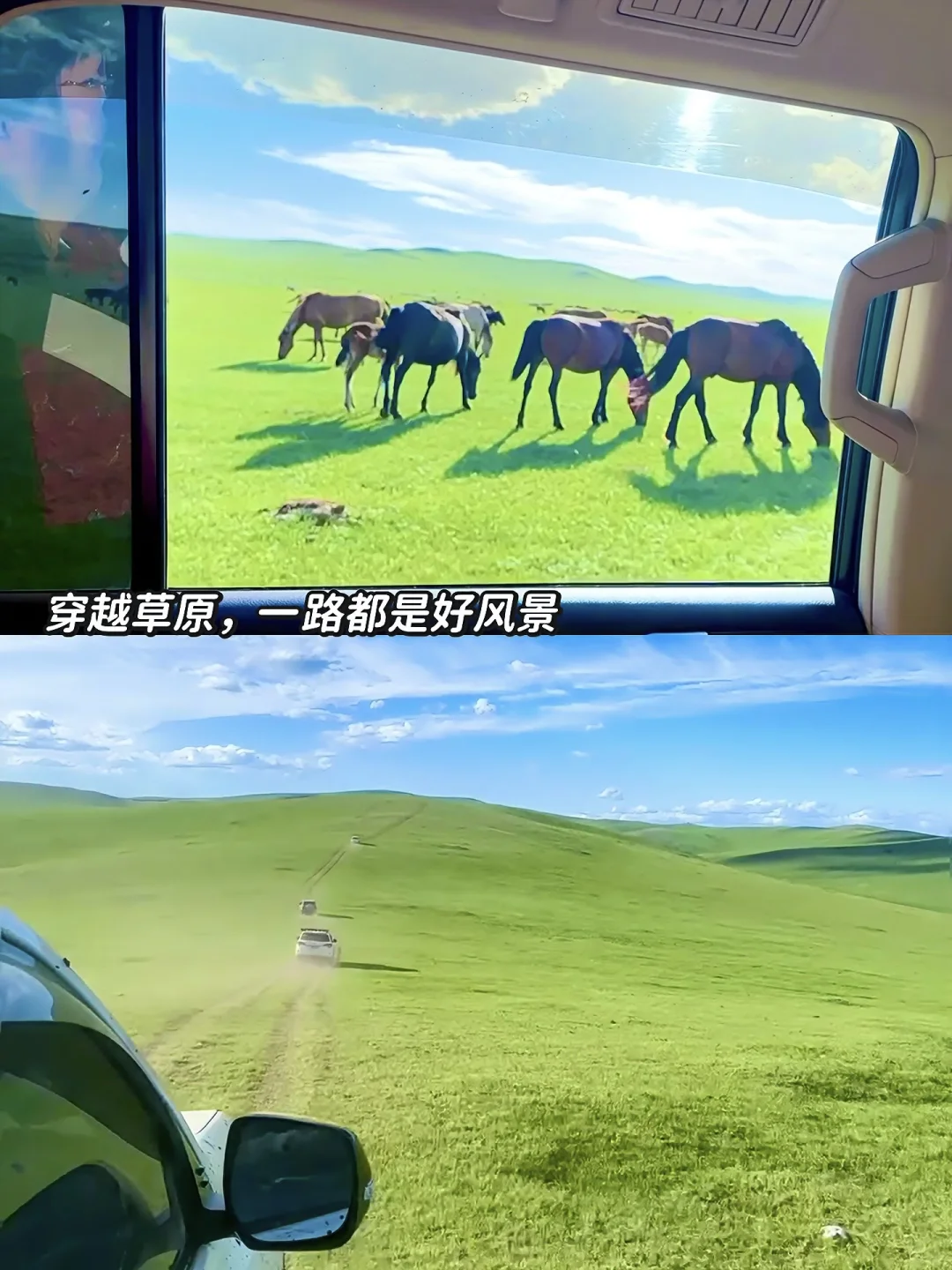 拜托🙏去呼伦贝尔遛娃一定要看这篇‼️全干货