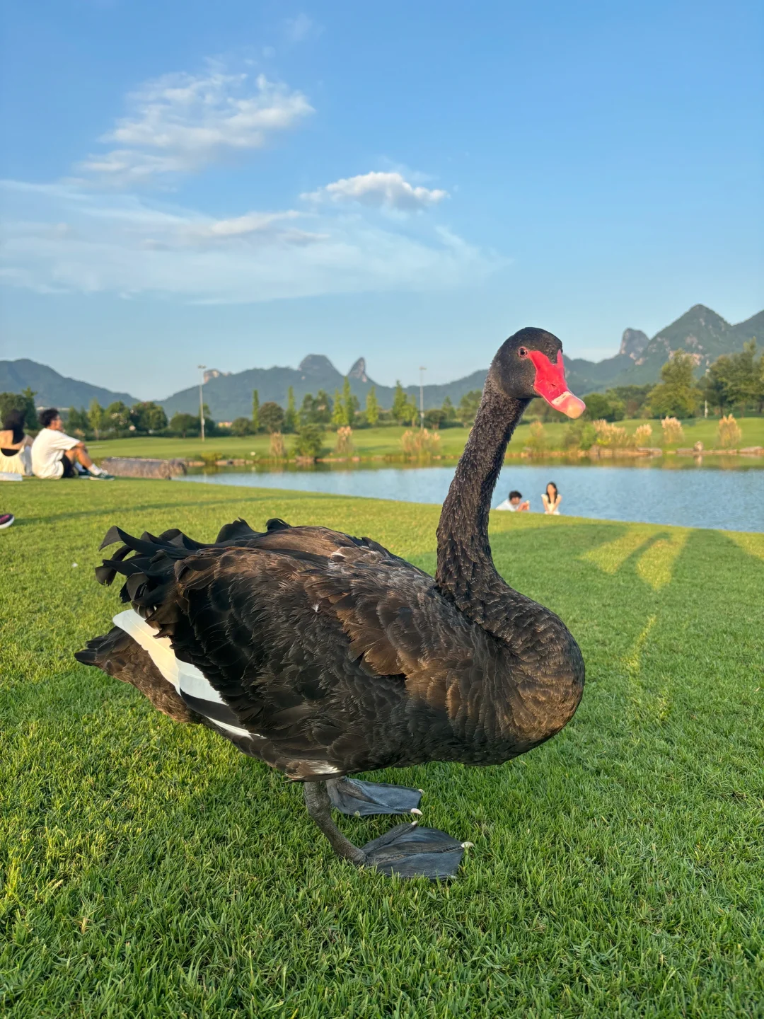 桂海晴岚💚——满满的生命力！！！