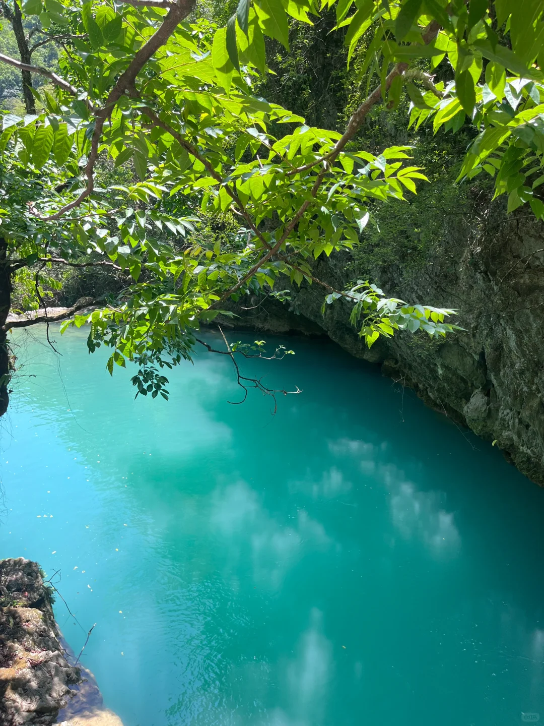 💙 “荔波小七孔，这片蓝是真实存在的吗？！”