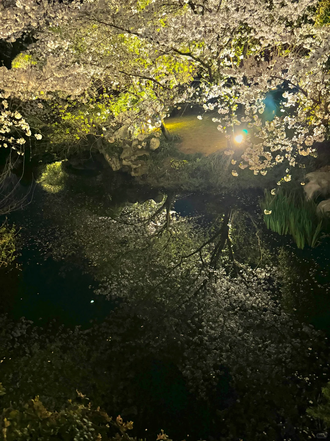 以为西湖已经够美了!直到我去了这里…